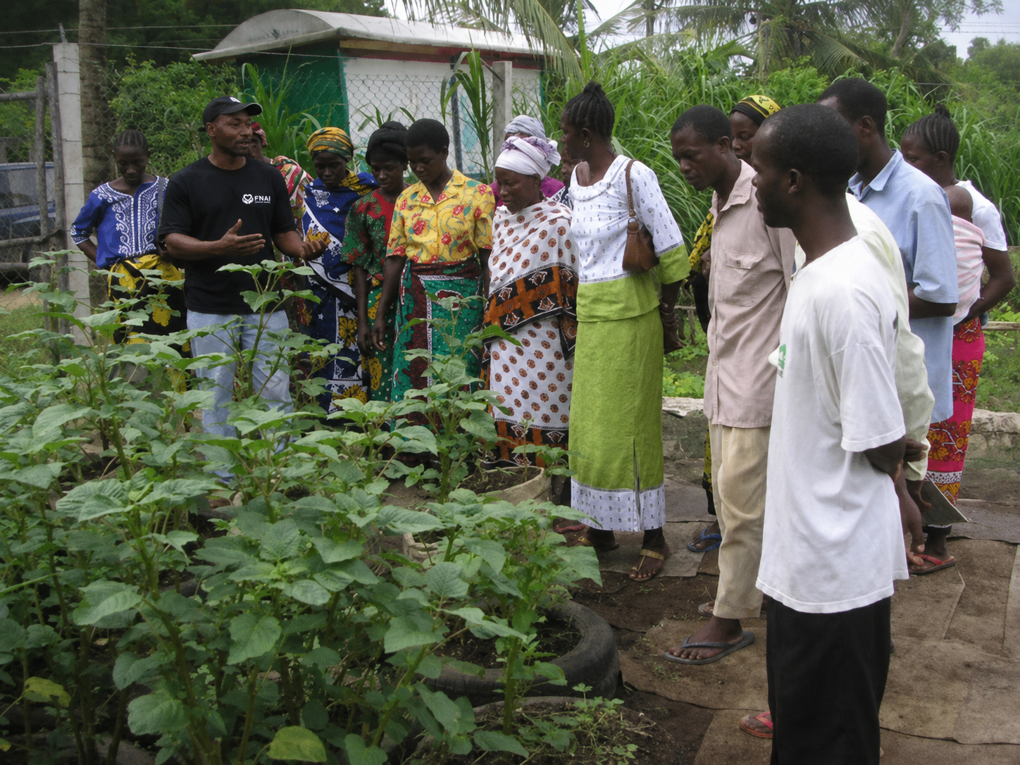 Livelihood Development